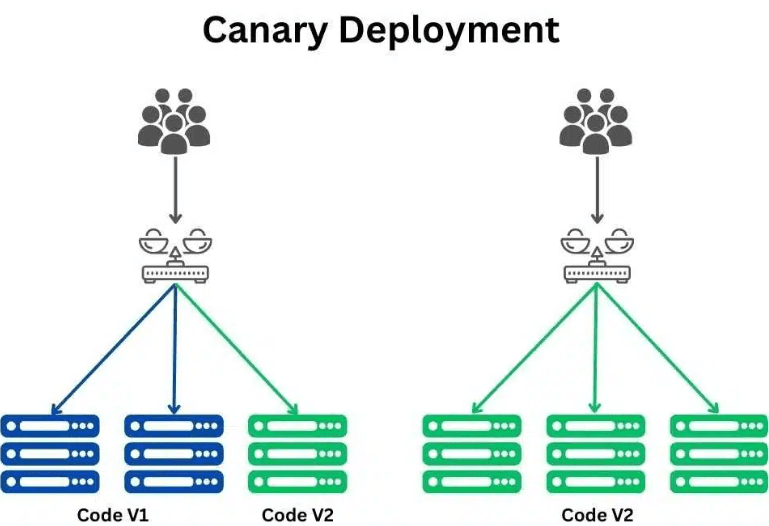 canary